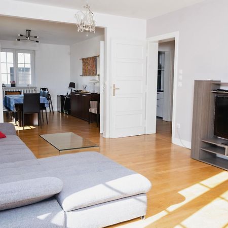 Charmant Appartement Avec Terrasse Dans Villa Στρασβούργο Εξωτερικό φωτογραφία